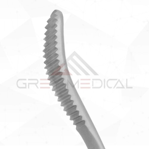 Aufricht Nasal Rasp curved