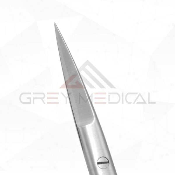 Aufricht Fine Scissors