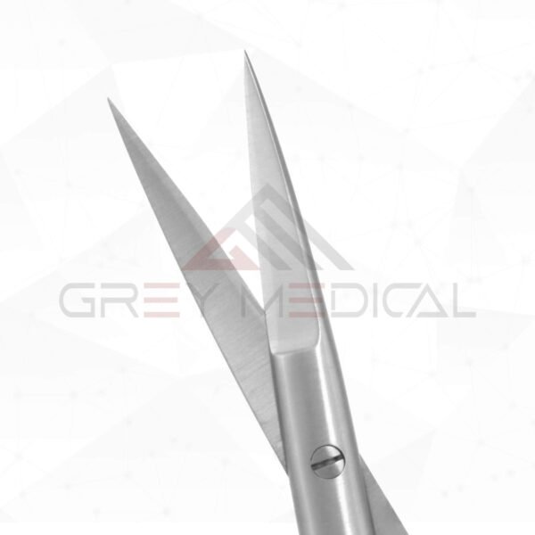 Aufricht Fine Scissors