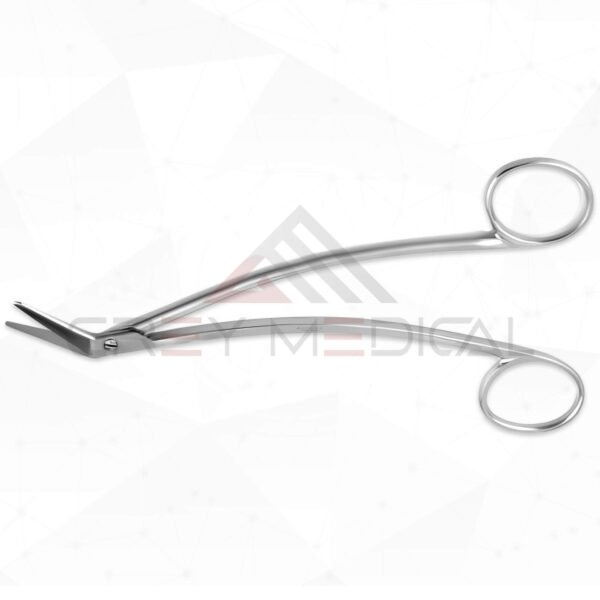 Converse Dorsal Scissors