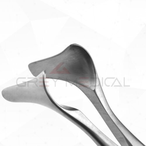 Nasal Speculum