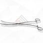 Bozeman Forceps