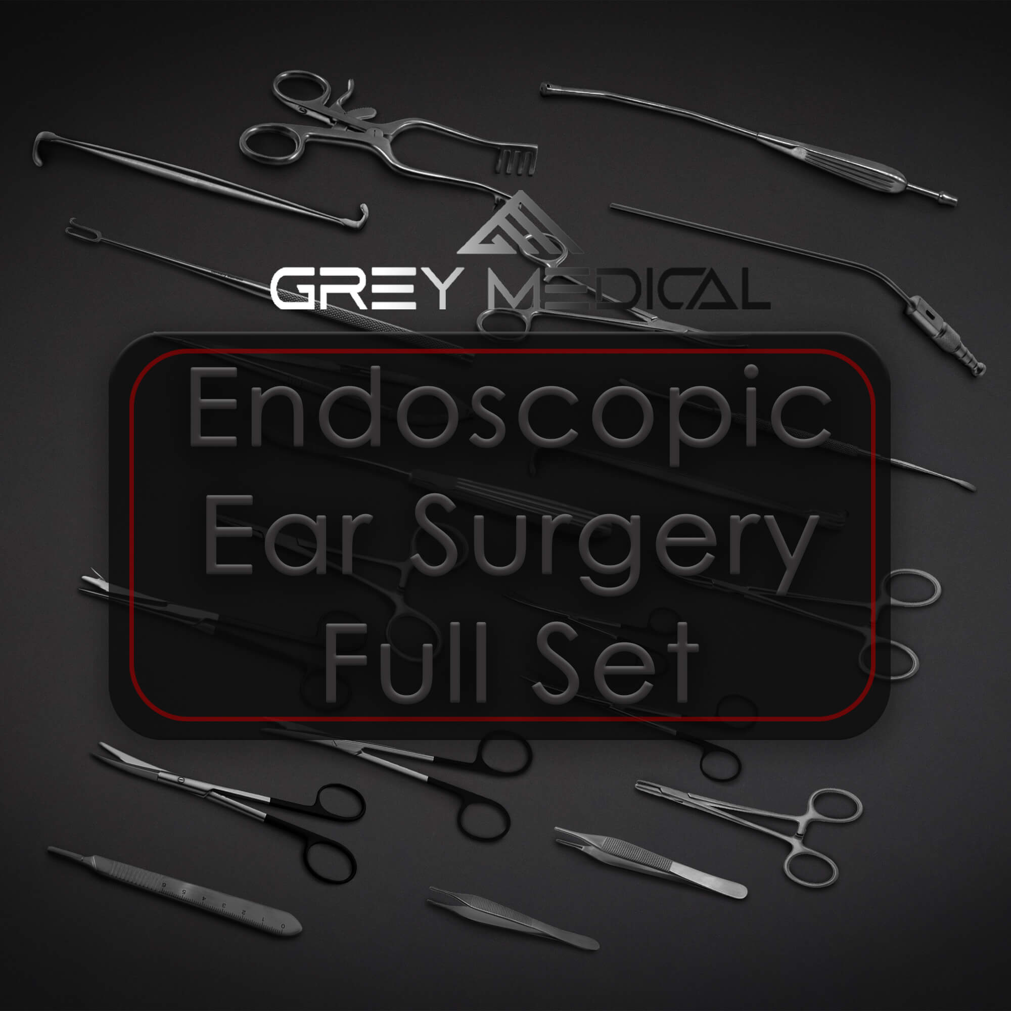 Panetti Endoscopic Ear Surgery Full Set Otologic Instruments