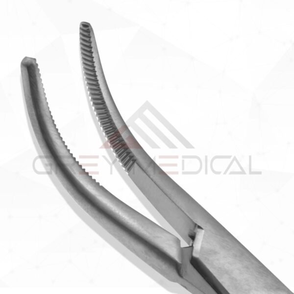 Schnidt-tonsil-forceps full