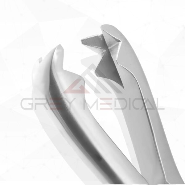 Fergusson Bone Forceps
