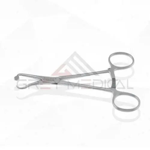 Plate and Bone Holding Forceps