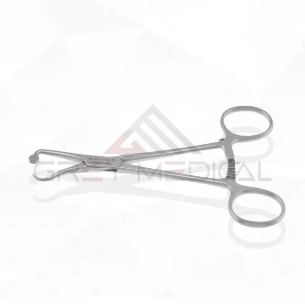 Plate and Bone Holding Forceps