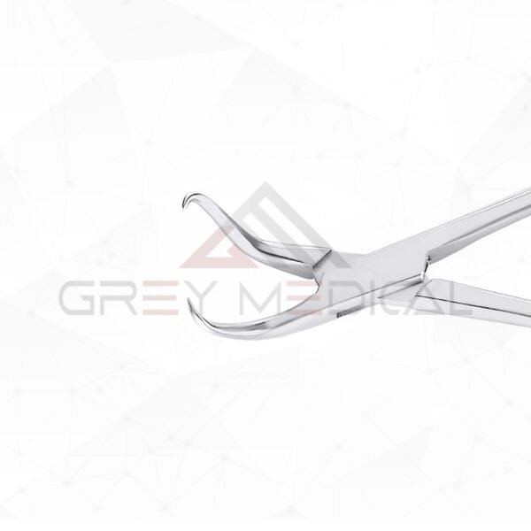 Stagbeetle Forceps Curved With Pointed Tips