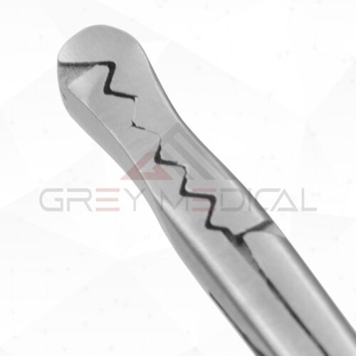 Barron Hemorrhoidal Alligator Seizing Forceps