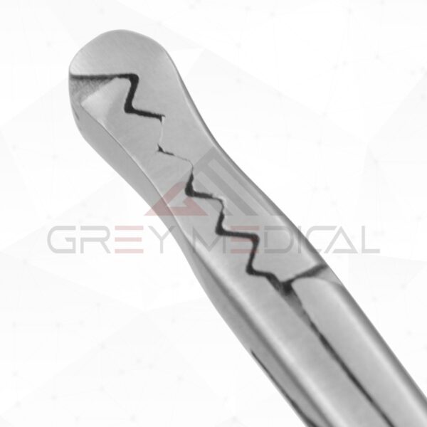 Barron Hemorrhoidal Alligator Seizing Forceps