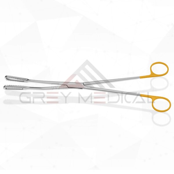 Bierer Ovum Forceps