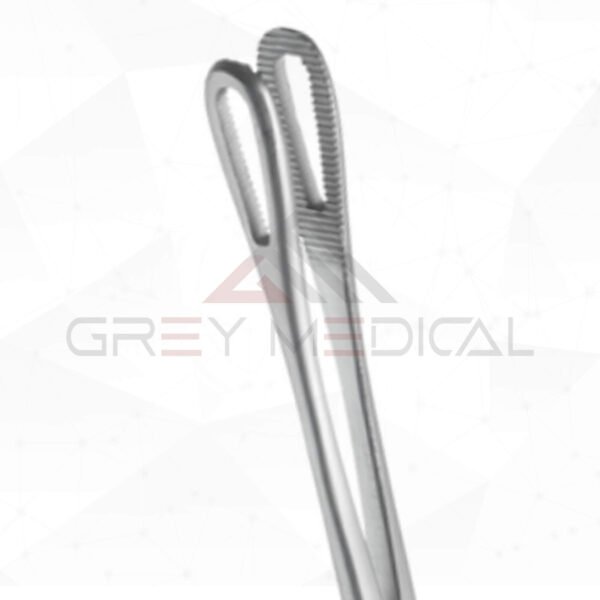 Rampley Sponge Holding Forceps