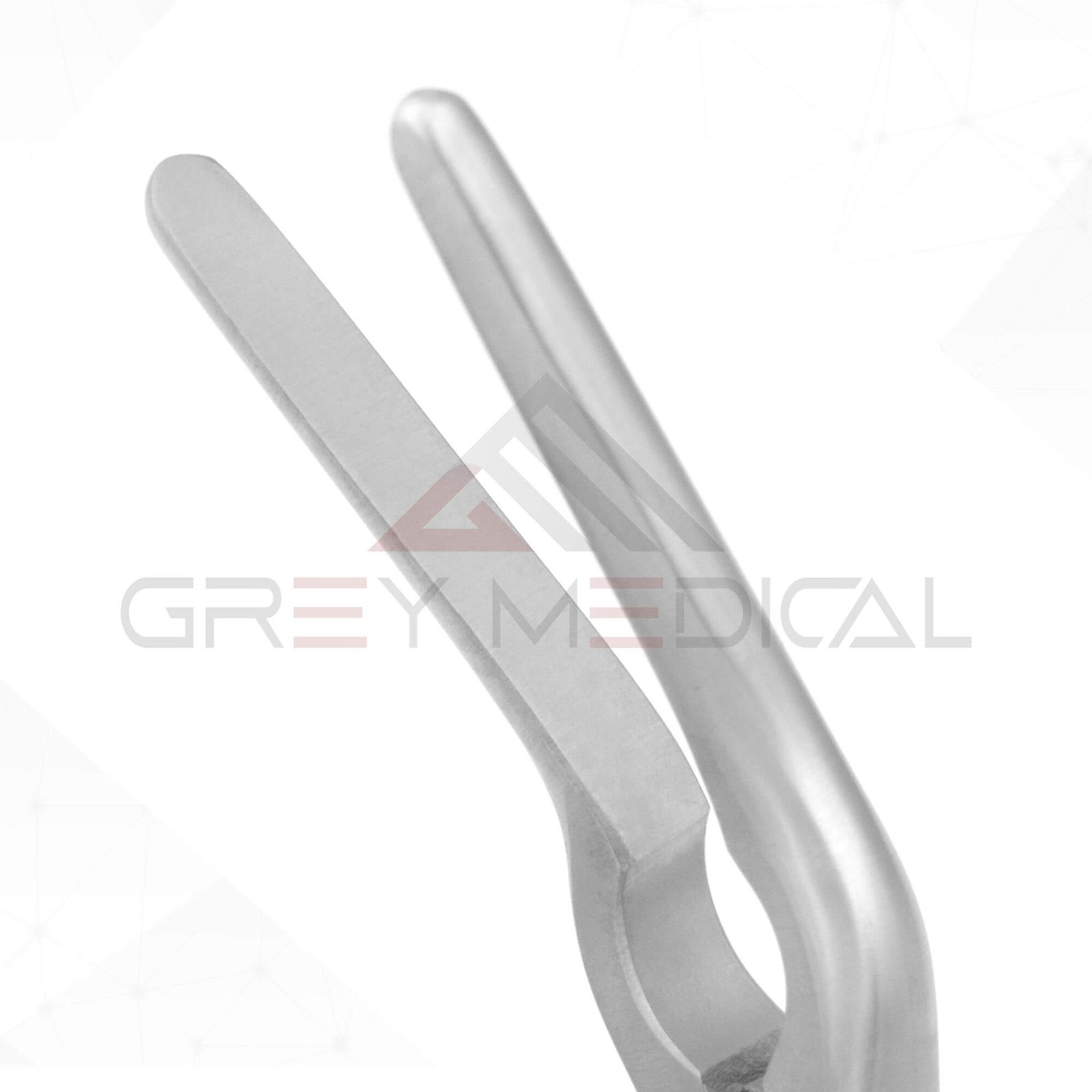 Asch Septum Straightening Forceps