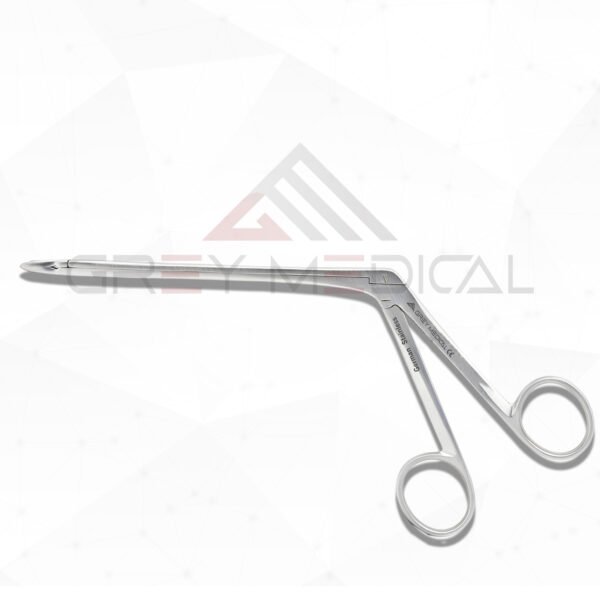 Hoen Ivd Rongeur Hoen Ivd Rongeur