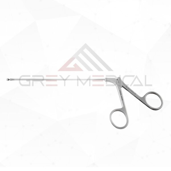 final-masroom MASHROOM