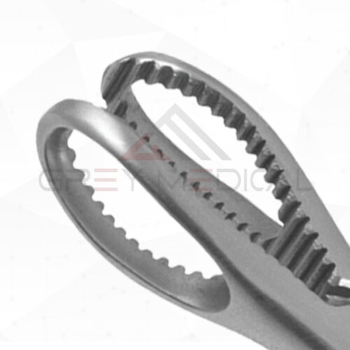 Angus Bone Holding Forceps with Long Ratchet