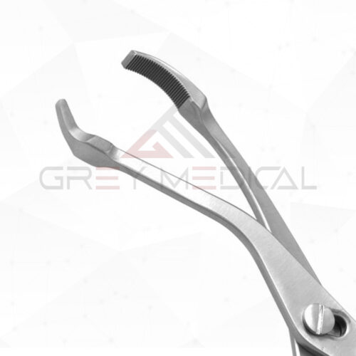 Verbrugge Bone Clamp With Speed Lock Curved - Image 3