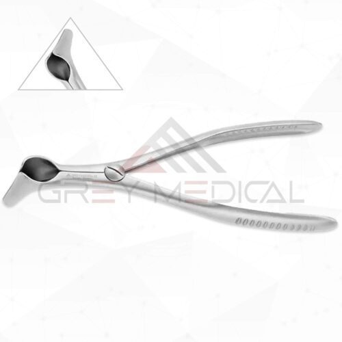 Nasal Speculum Economy
