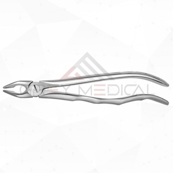 Tooth Forceps Blade Beaks - Dental Extraction Forceps by Grey Medical