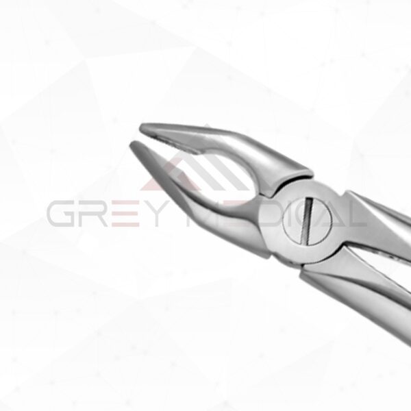 Tooth Forceps Blade Beaks - view 2