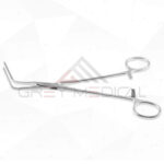 Plaque Remover