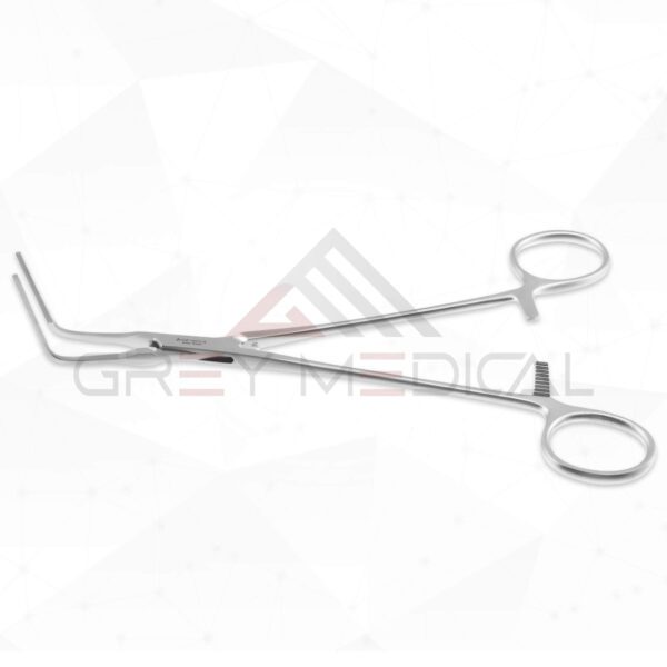 Plaque Remover