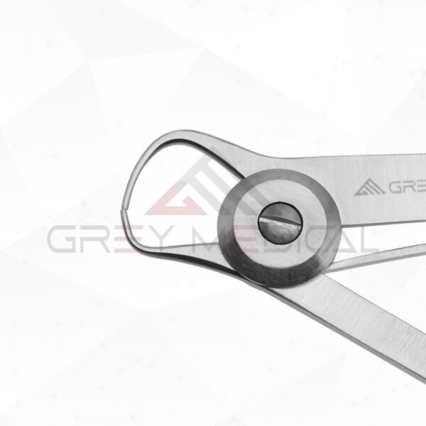 Iwanson Caliper