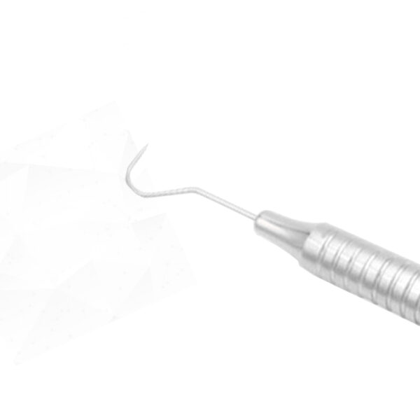 23 Dental Explorer - view 2