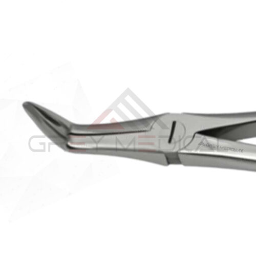 Spade Lower Root Extraction Forceps