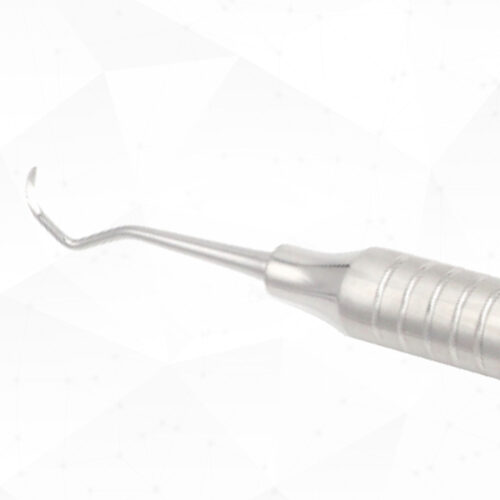 204S Sickle Scaler - Image 2