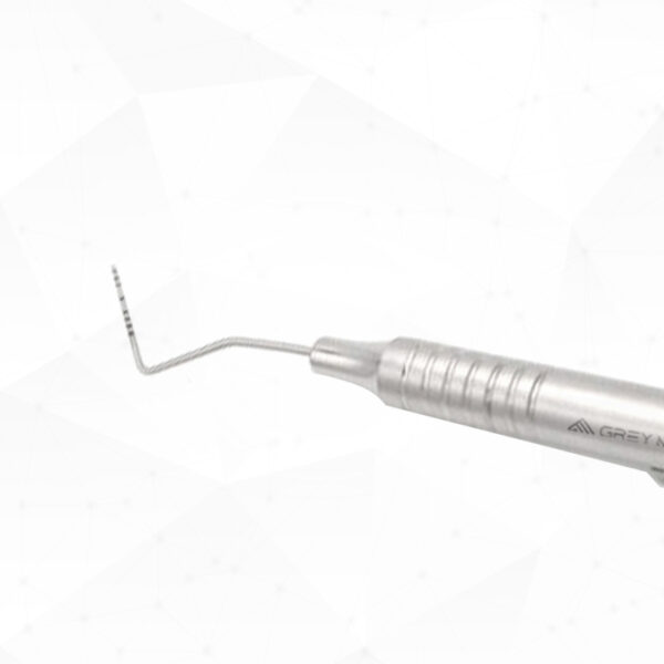 6/Williams Dental Expro